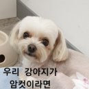 다정막창생삼겹