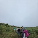 제주휴가 | 제주 승합차 투어 후기 여름휴가 만족한 이유