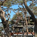 소양강로 | 춘천 소울로스터리 카페 아이와 함께하기 좋은 커피 솔직후기