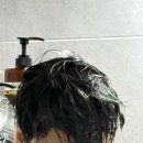 맥주효모 탈모샴푸 “트리트룸 더모어“ 우디향 사용후기