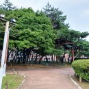 석촌동 고분군 화장실 | 석촌동 고분군 조용하고 산책하기 좋은 곳 석촌역 근처 롯데월드타워 뷰