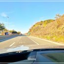 무주주유소 | 덕유산 휴게소 대구에서 전주 가다 우연히 들른 경험담