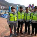 덕포 펭귄 이미지