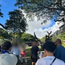 김내용농장 | 랜치 E바이크 강추, 야미 훌리훌리 치킨, 마카다미아 농장, 마구로스팟, 이야스메 무스비, 아일랜드...