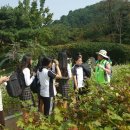 효성중학교 이미지