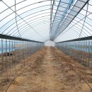 양평농장 이미지