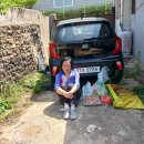 일등농약종묘도매상사 이미지