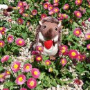 함현공원작은도서관 이미지