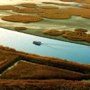 순천만 풍경 이미지