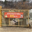의진농장 네이버블로그