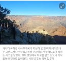 그랜드캐니언 추락 청년, '영사조력법' 지원받을수 있을까 이미지