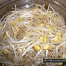 콩나물무침,시금치나물 넣고 열무비빔밥 이미지