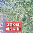 주)봉화랜드 농업회사법인 이미지