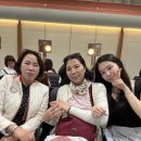 융이ღ태태 여행 : 양가부모님 모시고 세부-보홀 여행 1일차(0.5박, 세부 환전소, 오션젯, 졸리비)