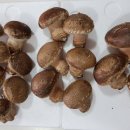 지민이네 농장 이미지