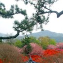 완산-7 이미지