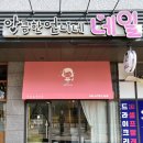 앙큼한 언니네