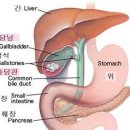 우리들동물메디컬센터 이미지