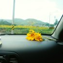 외동마을회관 이미지