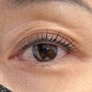 월드피아상가 | 장유속눈썹펌 맛집✨ 눈매에 찰떡인 맞춤 컬 디자인!! 제이뷰✨