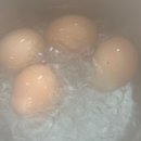 바쁘다 바빠 현대 냥이!