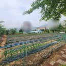 북면사무소 (3층) 이미지