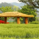 남지읍수변생태공원 이미지