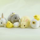 옹기종기 이미지