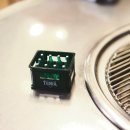 원시쪽갈비 이미지