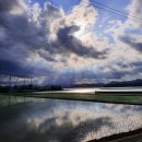 애향동산 이미지