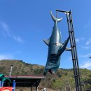 죠스글램핑 이미지