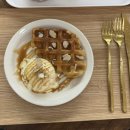 양코치 애견카페 이미지