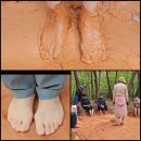 황방산생태야영장 이미지