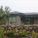 대흘민박 이미지