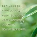 여우고개 이미지