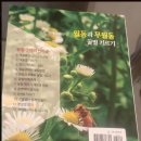 명성안경 이미지