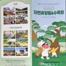 솔향기길 주차장 | 태안 솔향기길 축제 참여 후기