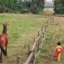 정경호농장 이미지