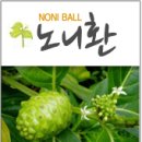 대장금인삼사