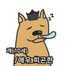 벌천포오토캠핑장 이미지