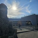 용문 애견 이미지