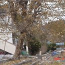 현남초등학교 이미지