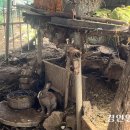 모란카센타 이미지