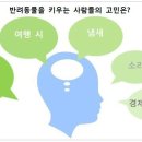 당신은 지금 반려동물과 함께 살고 있습니까? 이미지