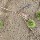 하동 섬진강변길 이미지