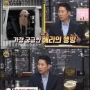 아래 천재견호야 보고 적는 글 [천재견 해리 사건] 알고 있어??? 이미지