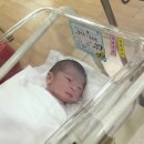 마미캐티 이미지