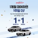 대한렌터카 이미지