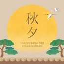 옵티컬 안테나 이미지