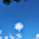 청하당한의원 이미지